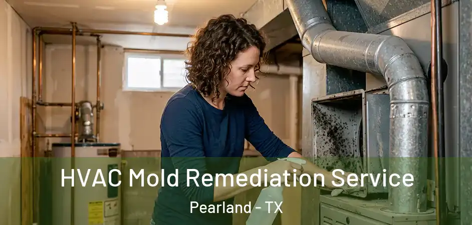  HVAC Mold Remediation Service Pearland - TX