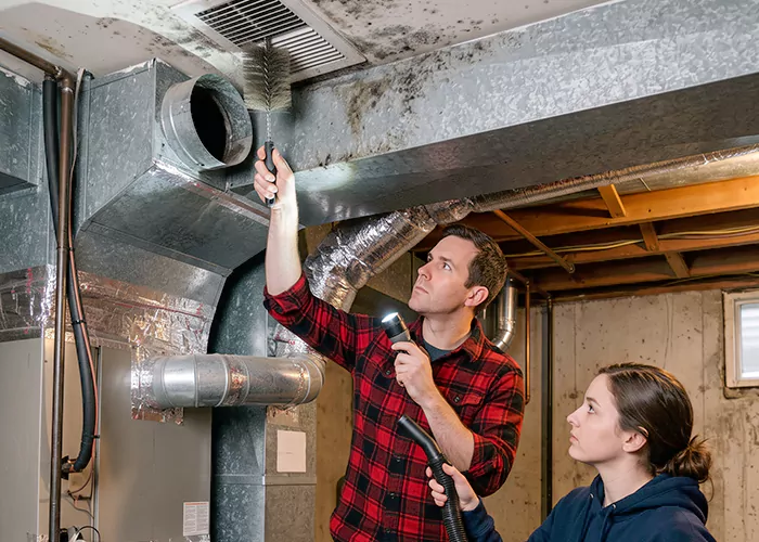 Premier HVAC Mold Remediation Company in Pearland
